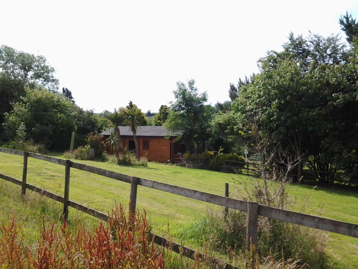Tudor Lodge With Pool & Bbq Cabin Liskeard Kültér fotó